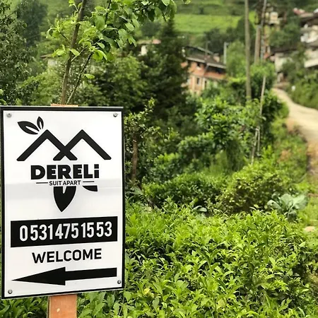 Dereli Delux Ayder Lägenhet