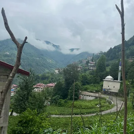 Dereli Delux Ayder