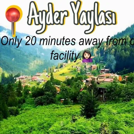 Dereli Delux Ayder Lägenhet