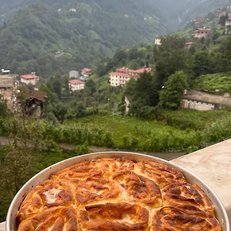 Dereli Delux Ayder * Rize