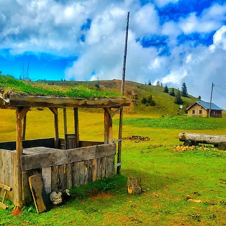 Dereli Delux Ayder Rize